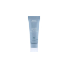 Aveda - Smooth Infus Style Prep (100ml)